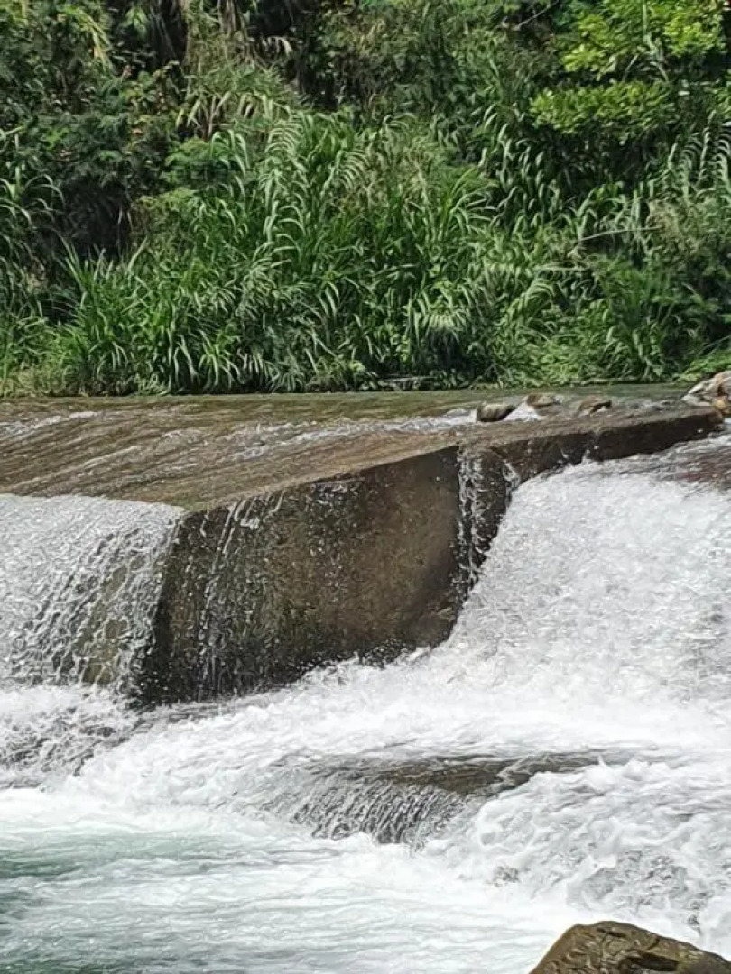 Caribbean estate deluxe 2