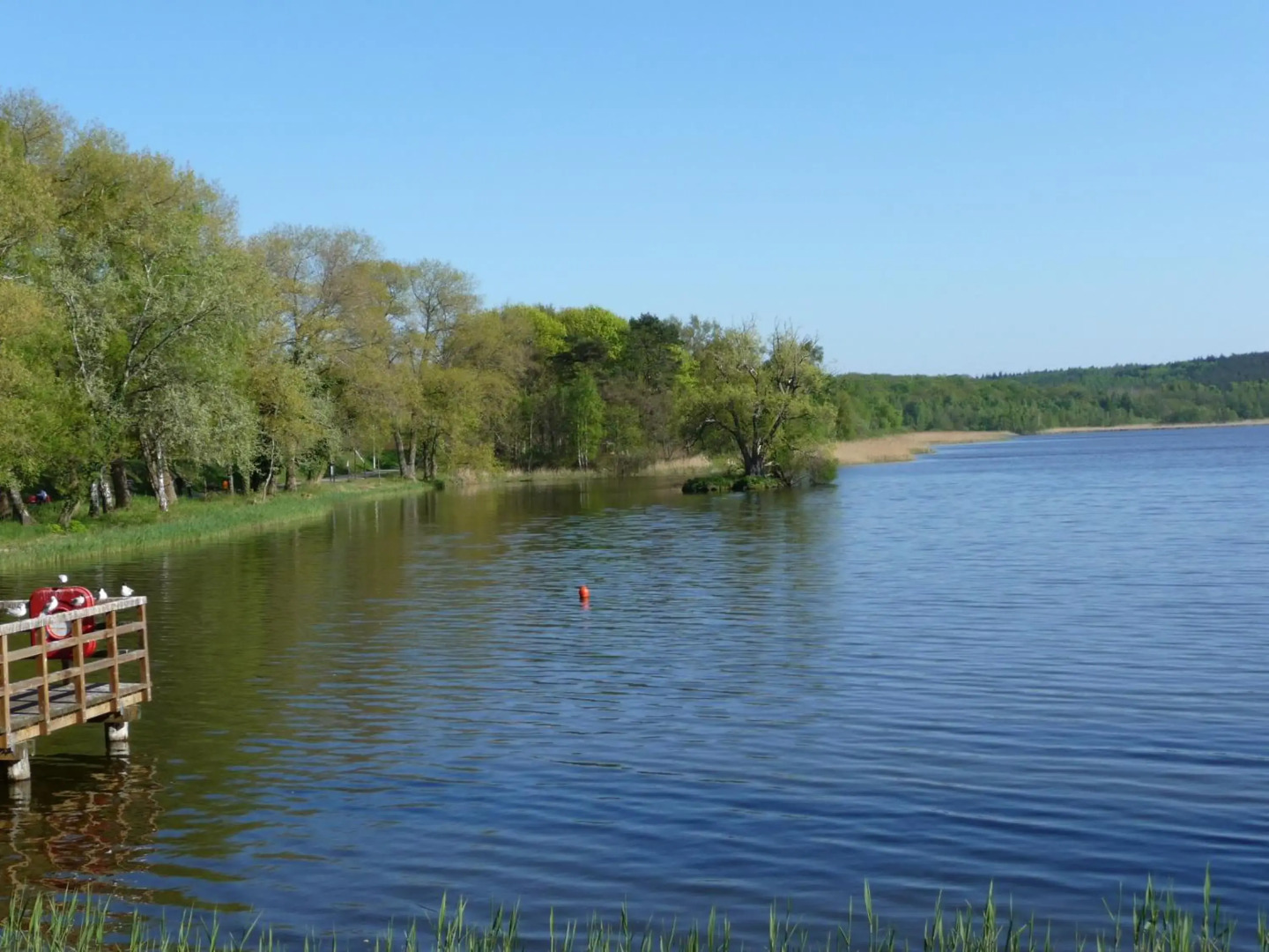 Ferienwohnungen Tannengrund