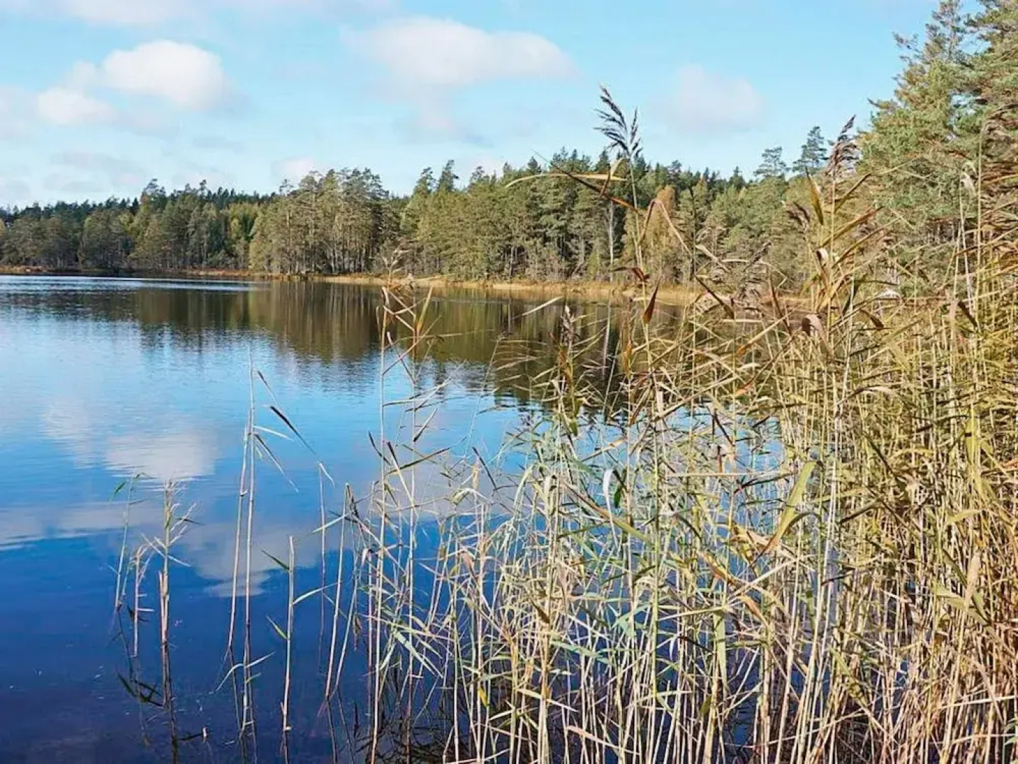 4 Person Holiday Home in Skarblacka