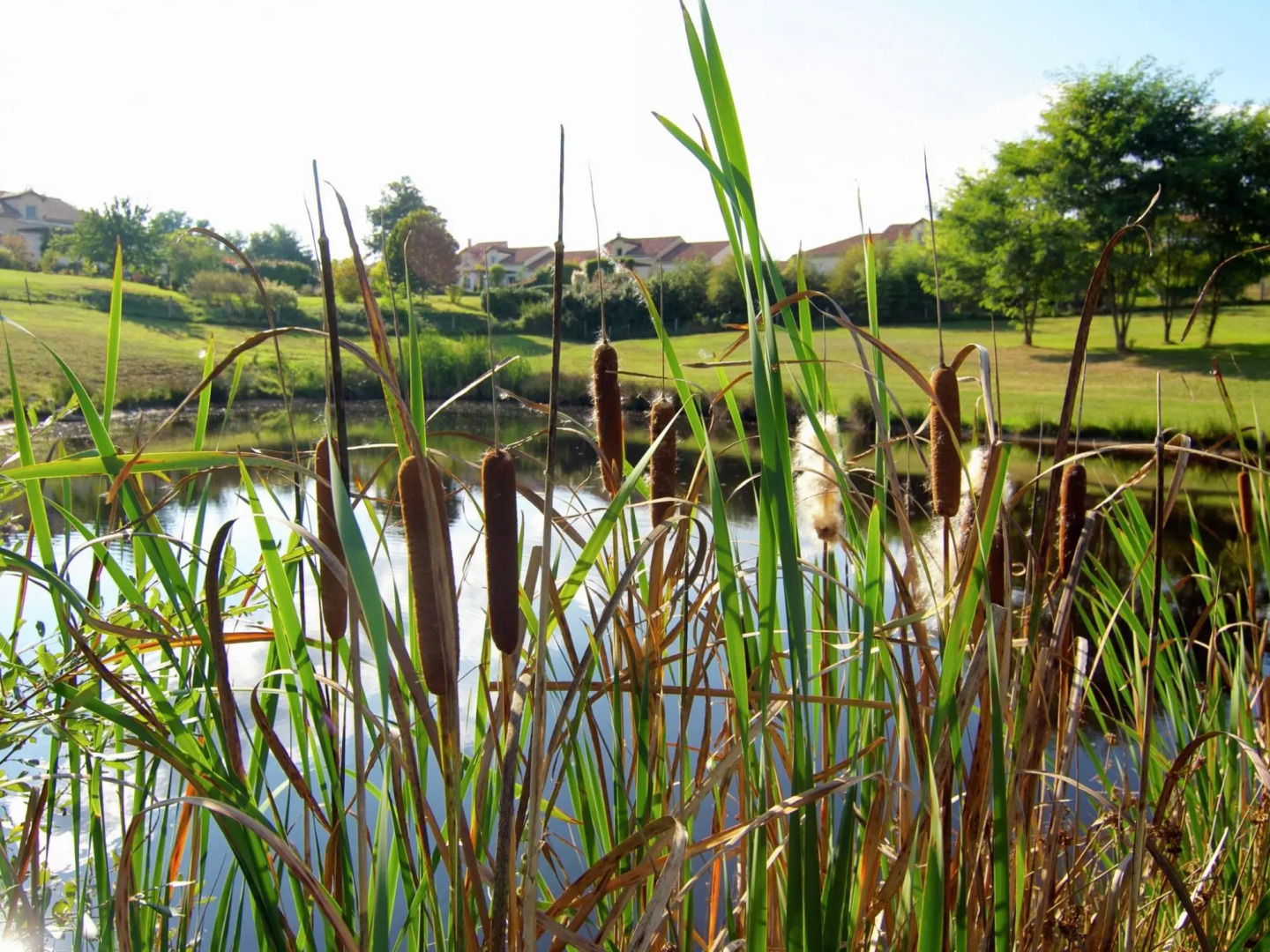 Romantic Tower With Roof Terrace and Plenty of Privacy and use Heated Pool