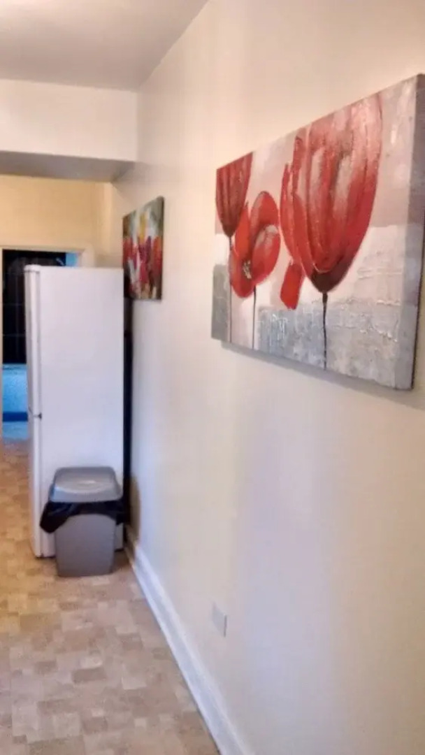 Derwent Street Apartment 1 - Self Catering Rooms