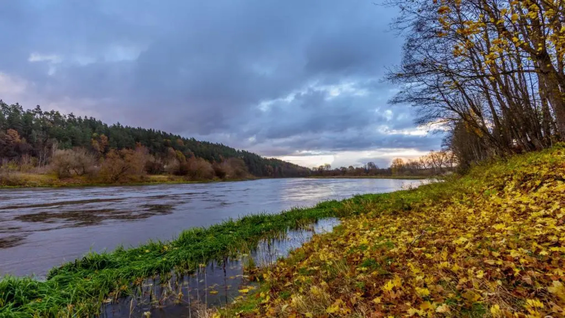 Senosios Geguzines Ukis