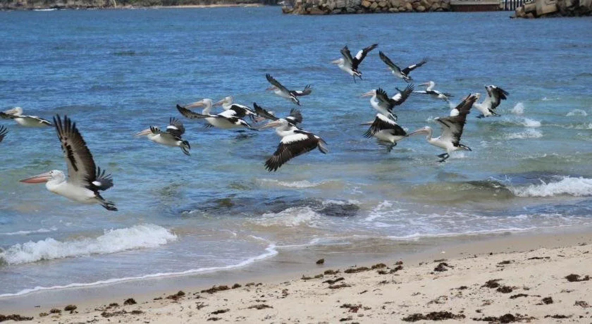 Sandpiper Motel Ulladulla