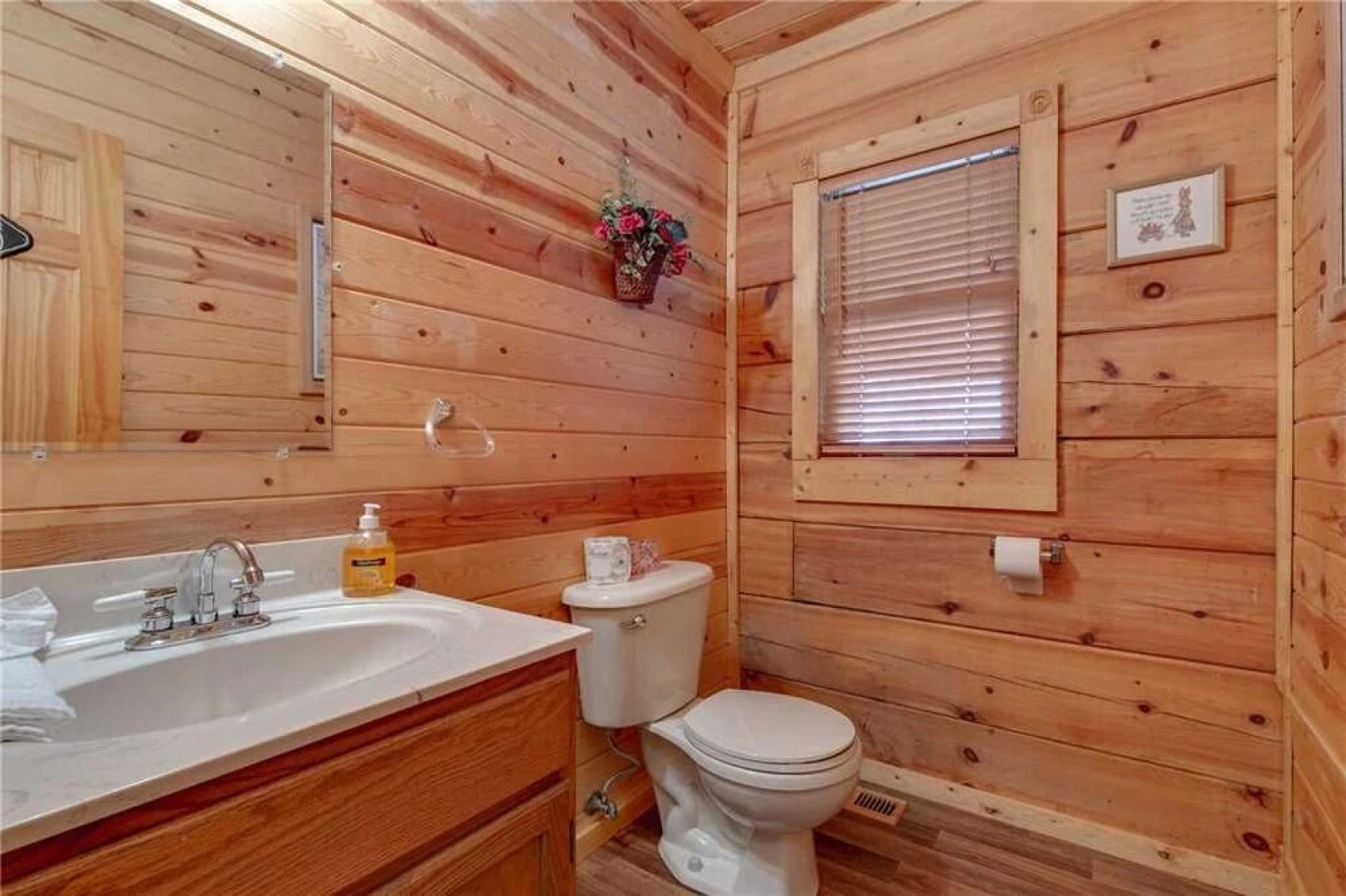 Bear View - Three Bedroom Cabin