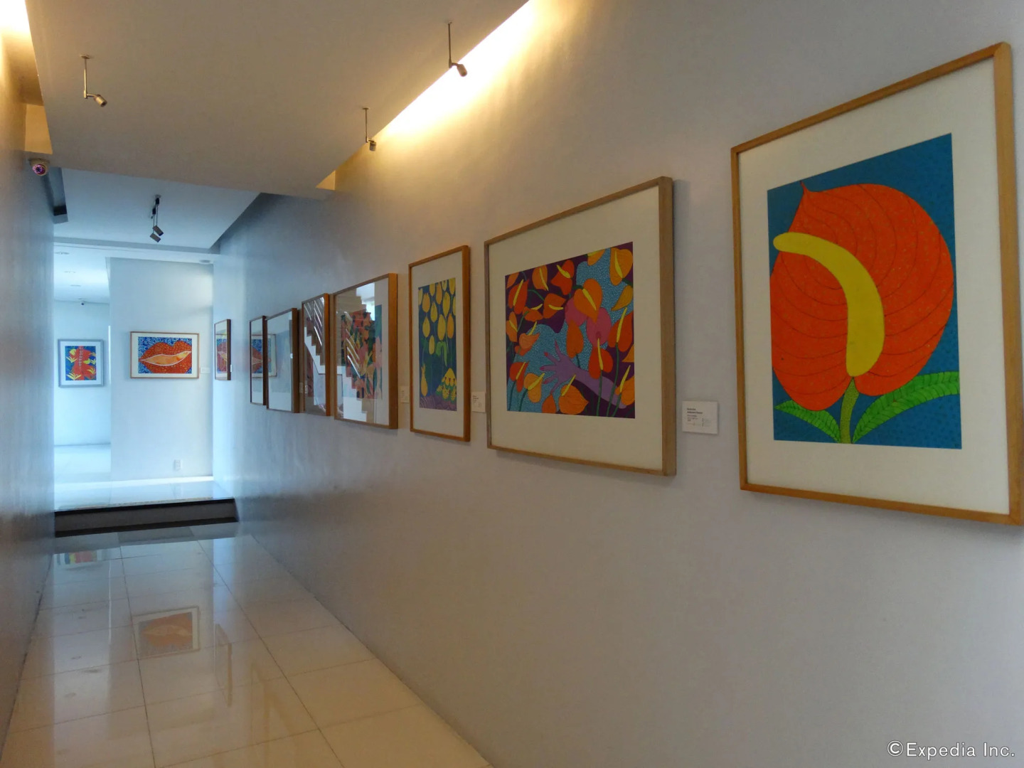 The Purple Tree Bed & Breakfast