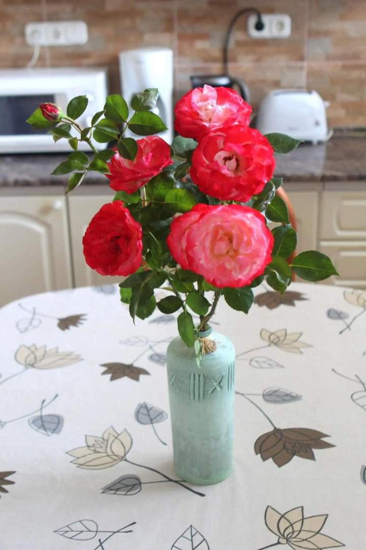 Strandfürdő Apartman