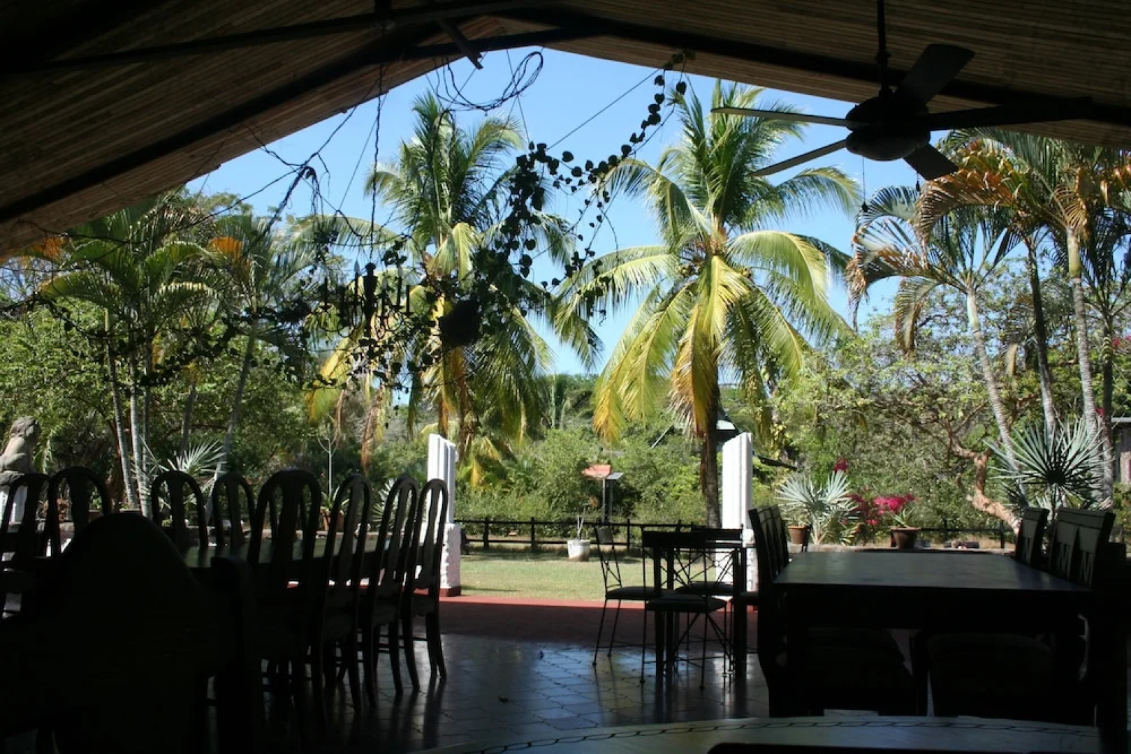 Paraiso del Cocodrilo