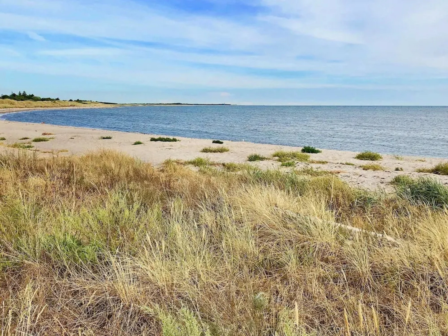 12 Person Holiday Home in Rodby