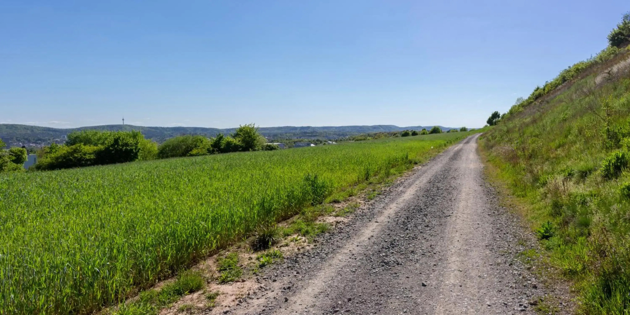 Wonderful Apartment With Great Location