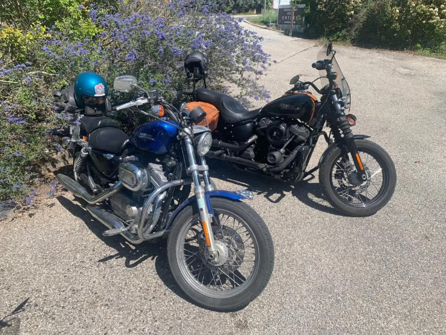 Human Hotel Résidence