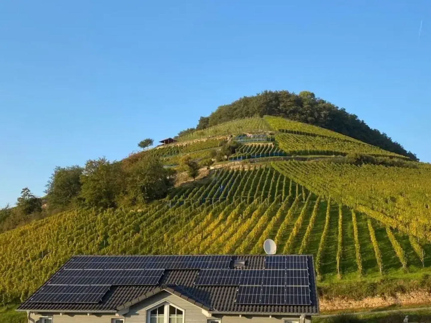 Holiday Apartment Forest