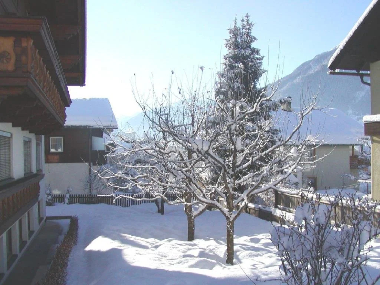 Haus Familie Steiner