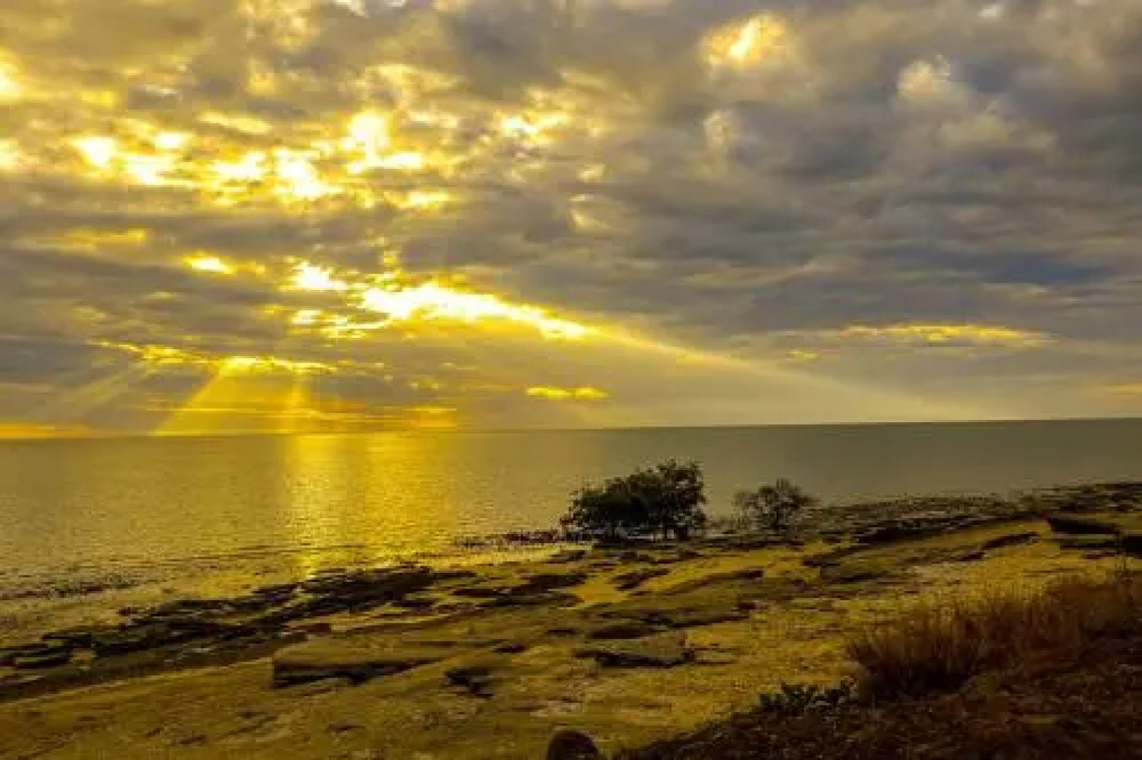 Ash’s Holiday Units