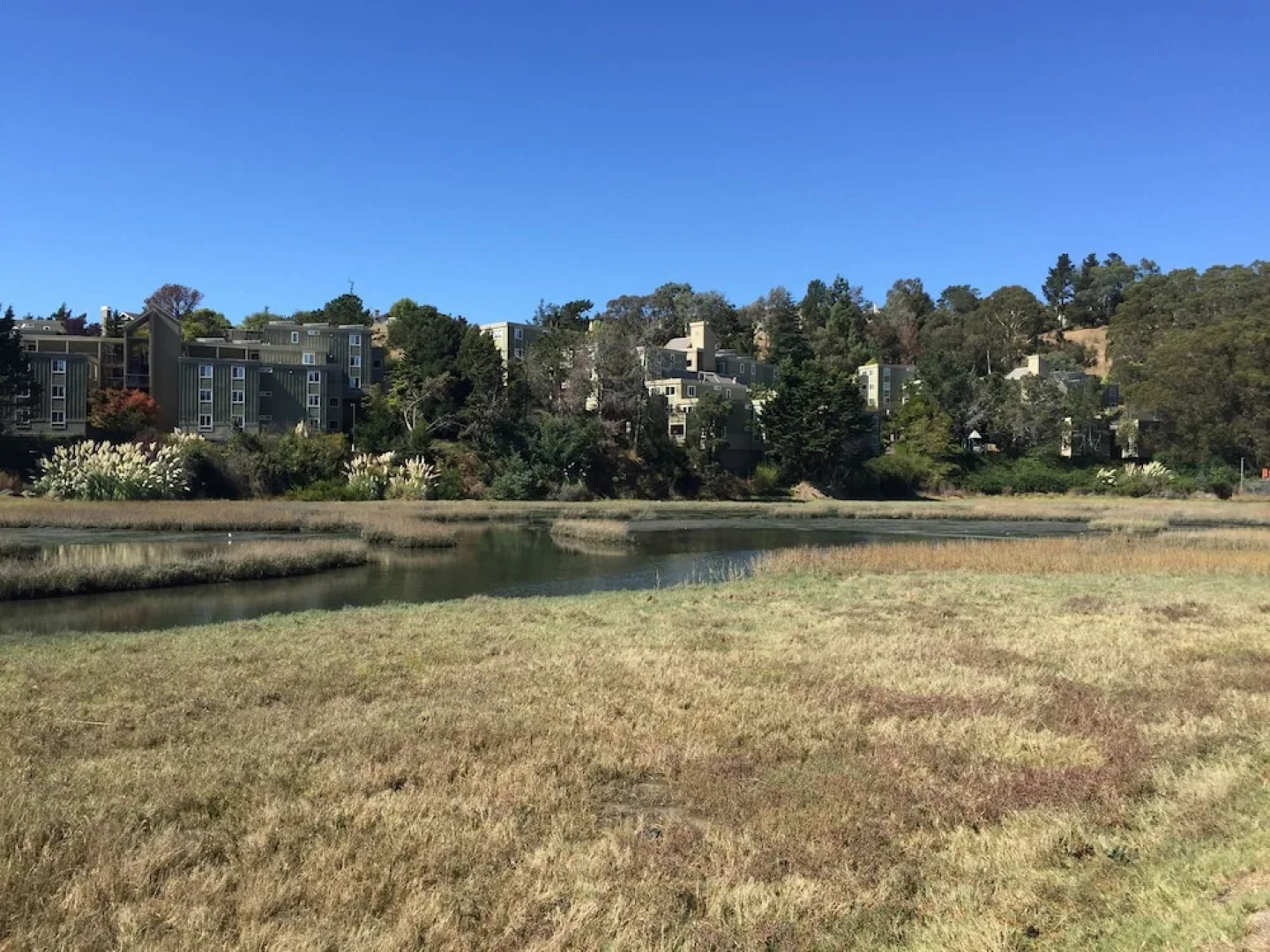 Travelodge Mill Valley/Sausalito