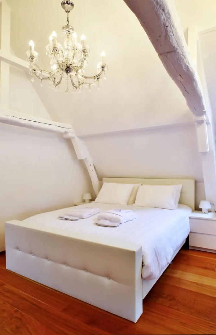 Luxury Apartments Delft V History Written