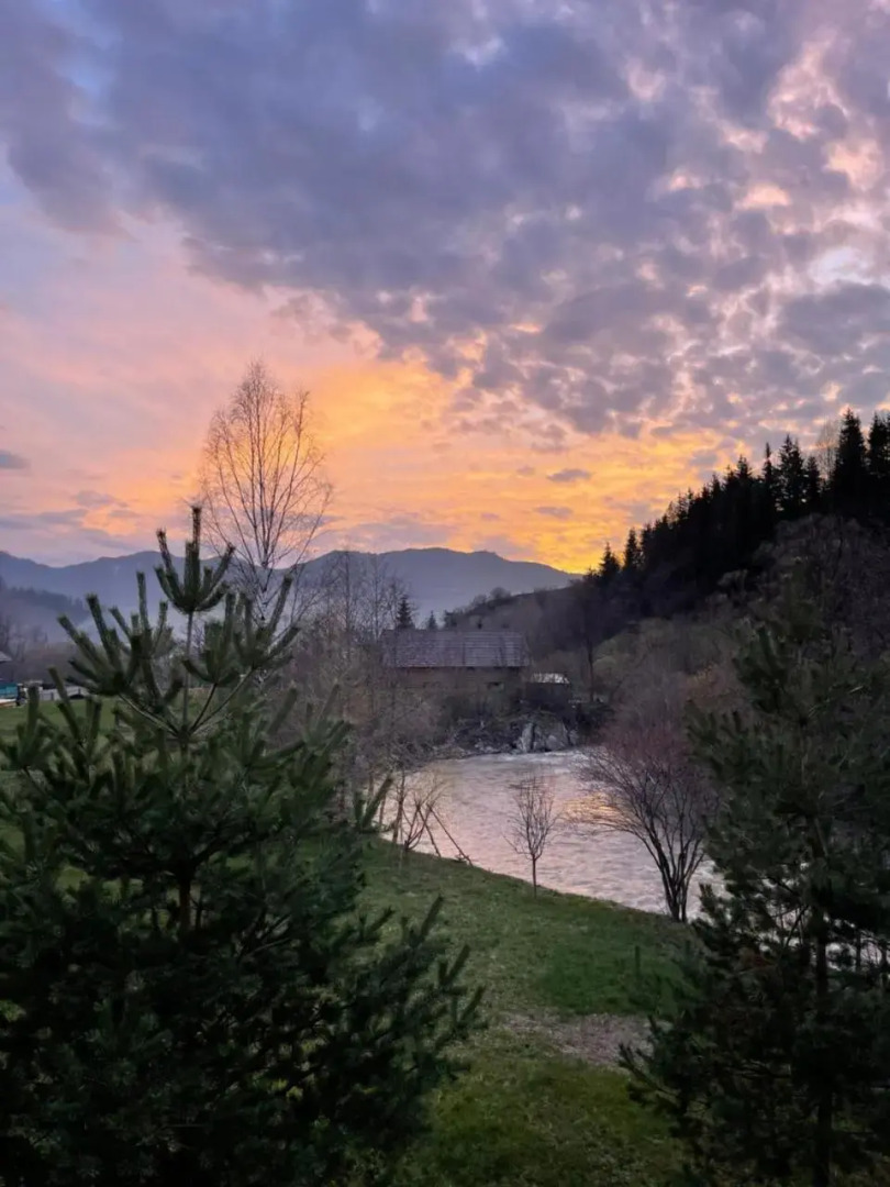 Апартамены VIP 5 каминов