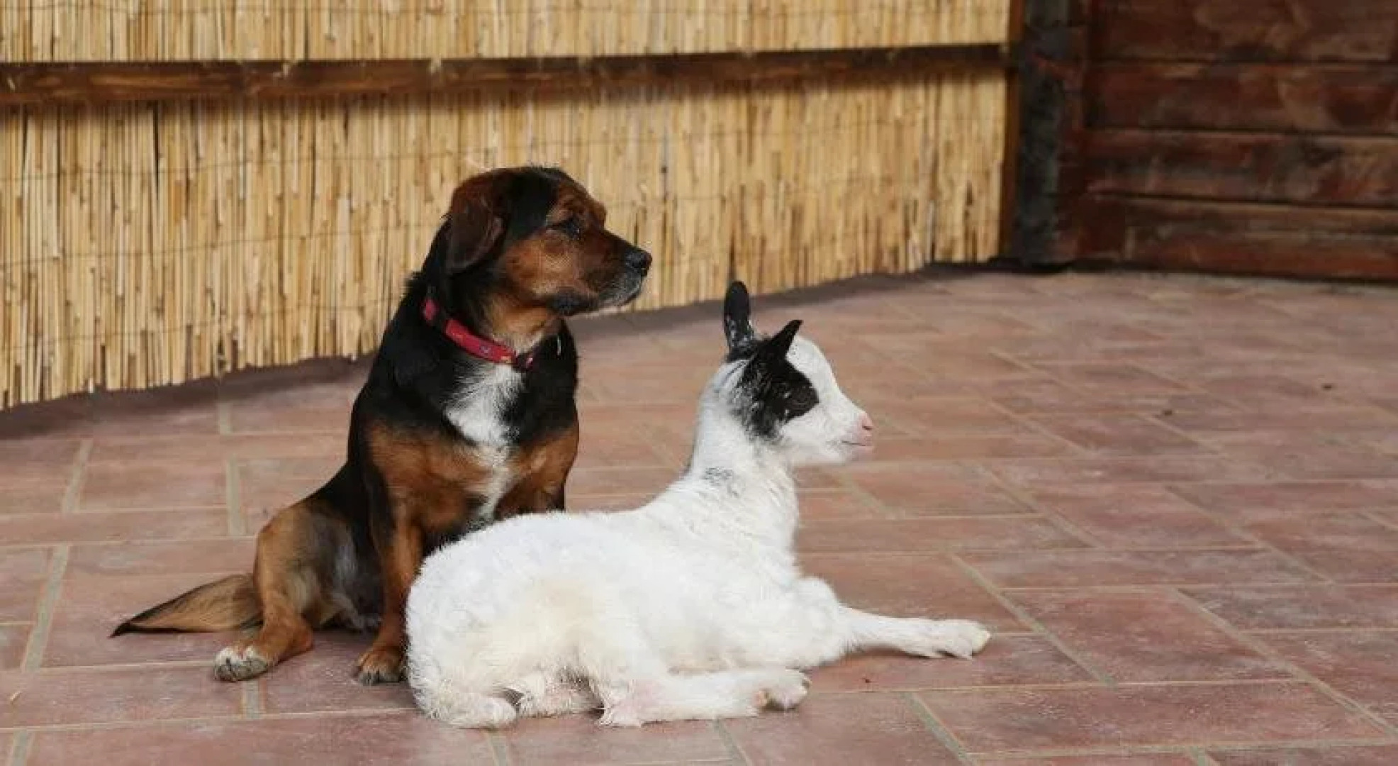 Agriturismo Fattoria Ca Di Sole