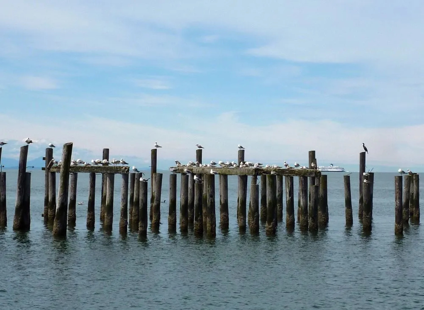 The Duck Inn Riverfront Cottages