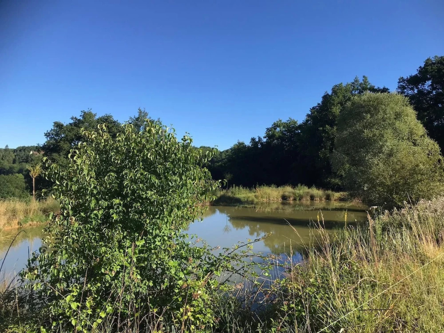Les Cabanes Perchées du Mas del Bosc