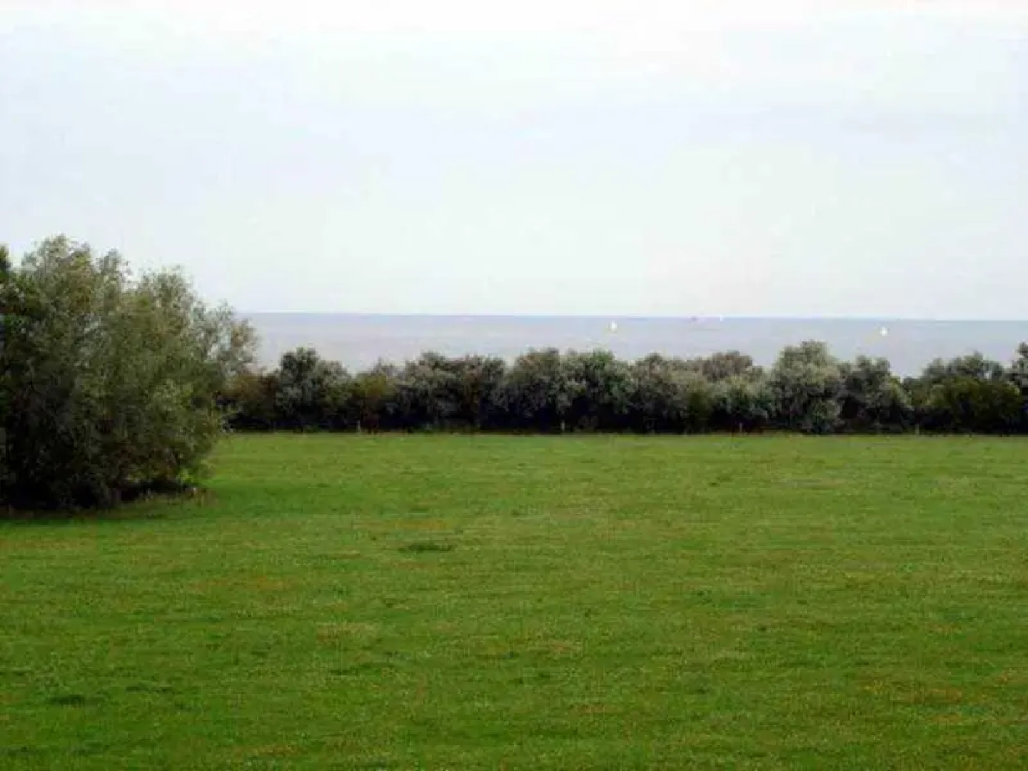 Ferienwohnung Nienhagen MOST 2170