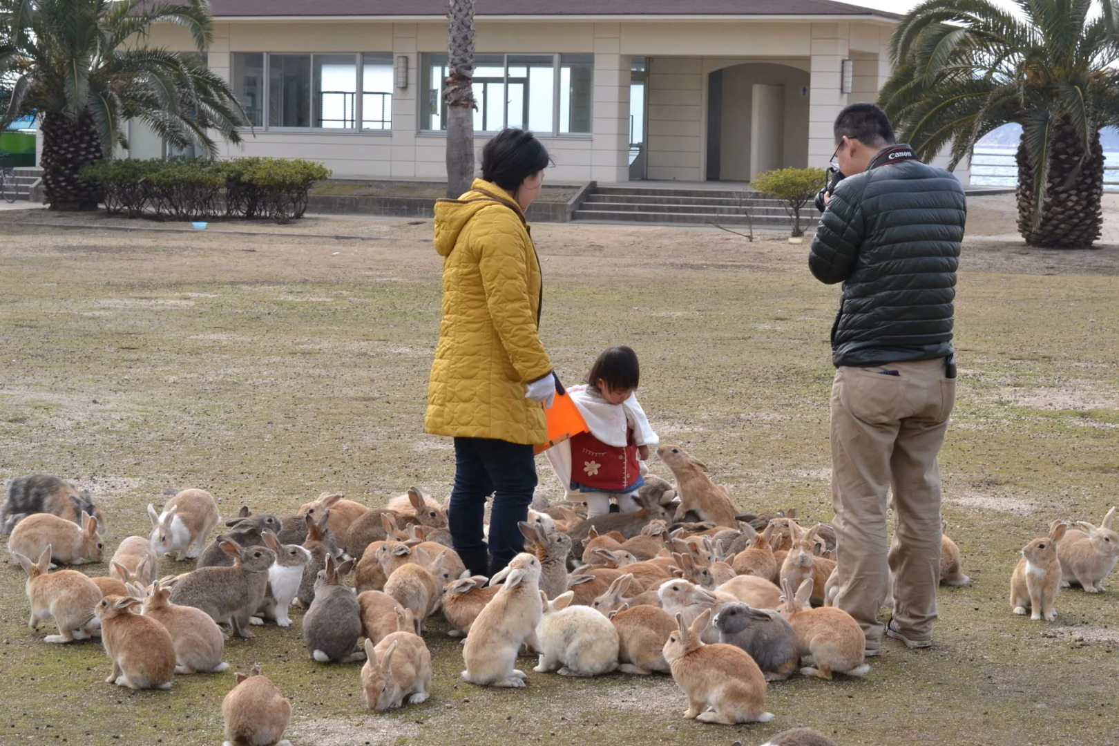 Kyukamura Ohkunoshima