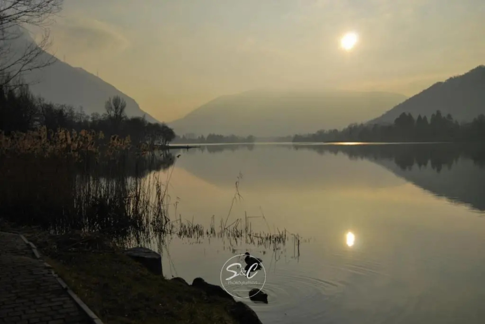 Feel at Home - Villa Verbena