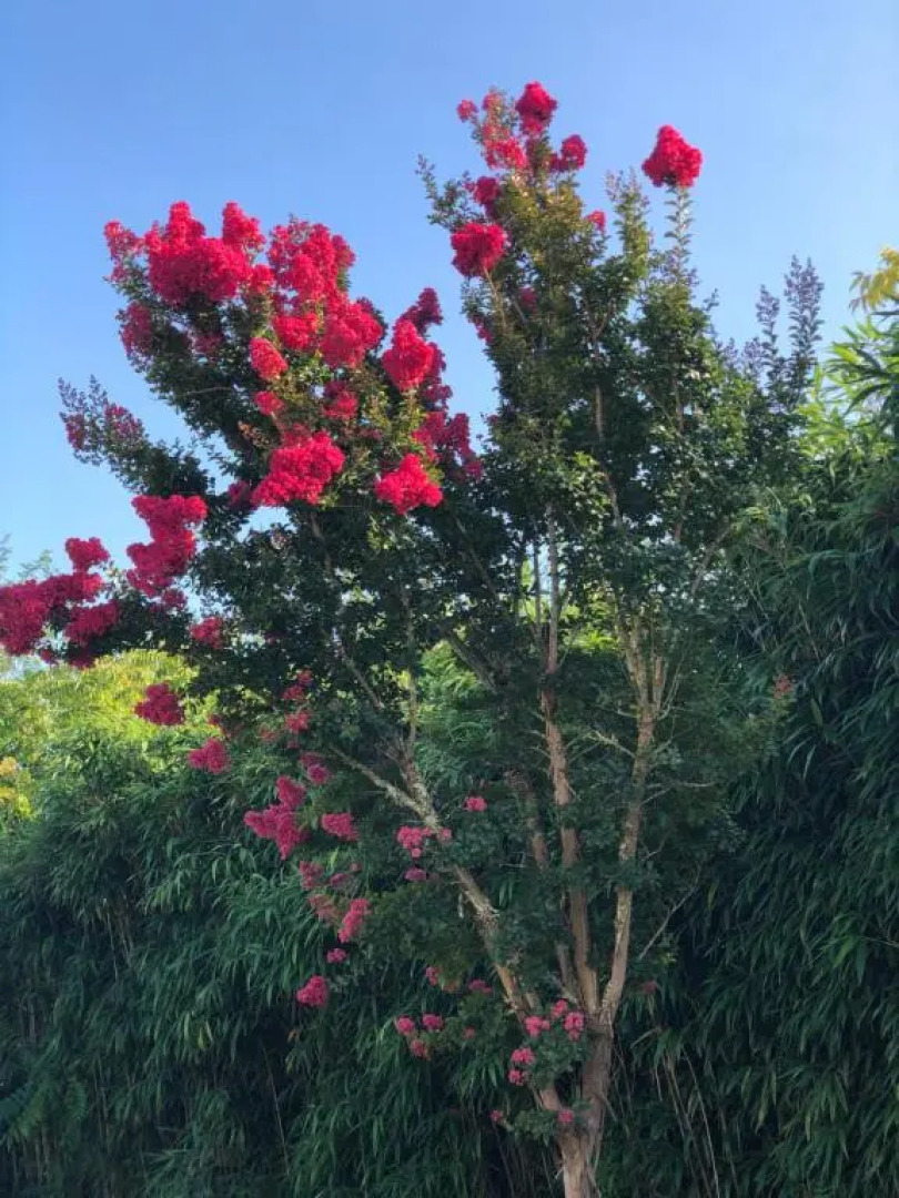 Les Hauts de Castets