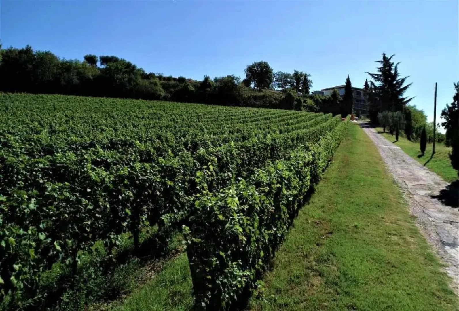 Agriturismo La Guarda