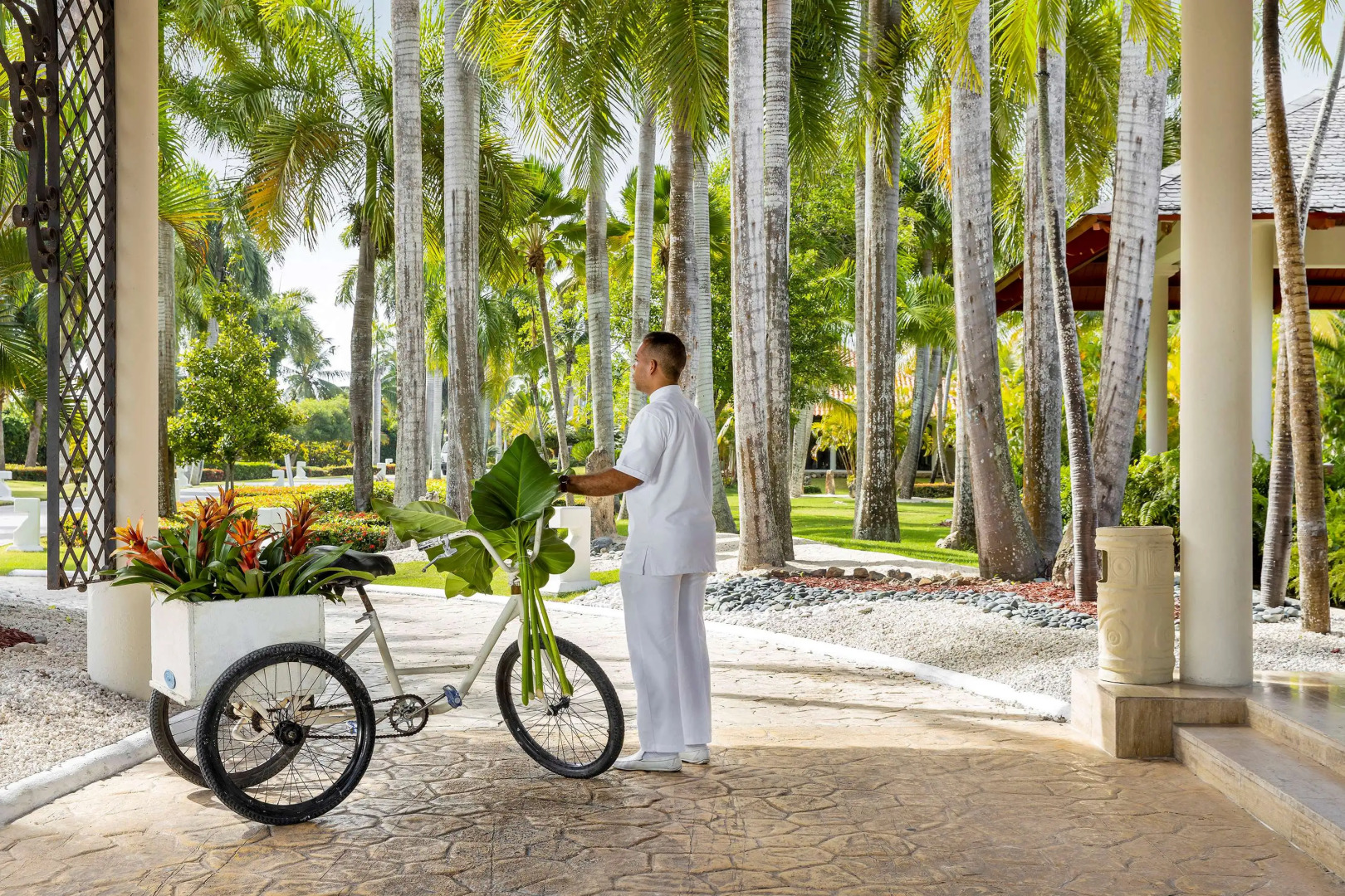Paradisus Punta Cana Resort-All Inclusive