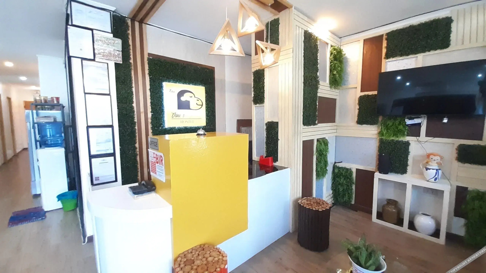 Vines Ape Nap Hostel by OYO Rooms