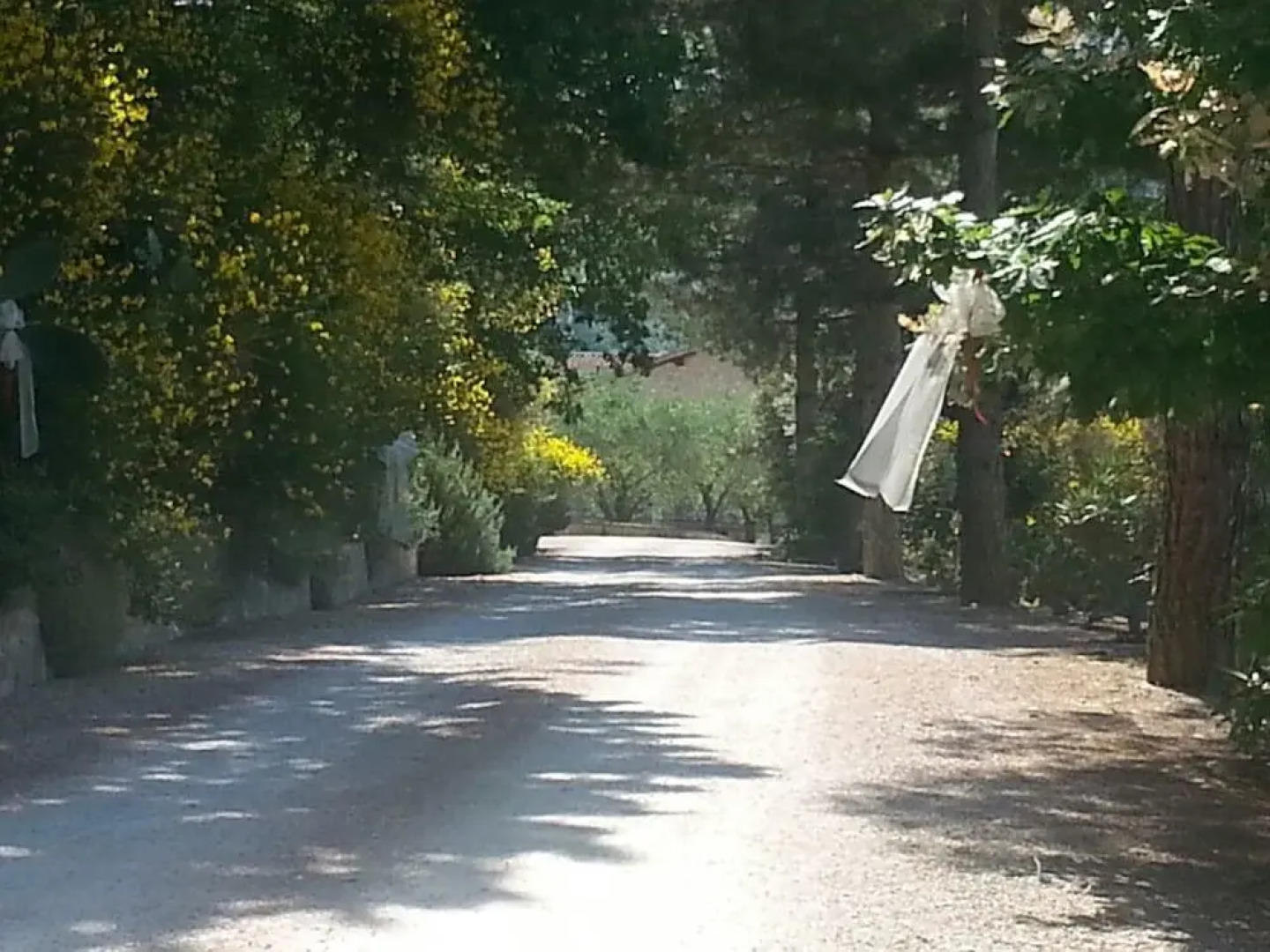 Agriturismo L'Antico Casale