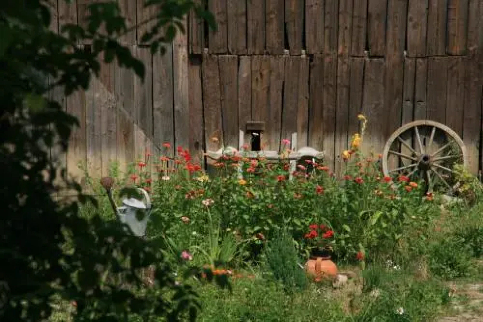 Casa Cu Zorele Crit 189