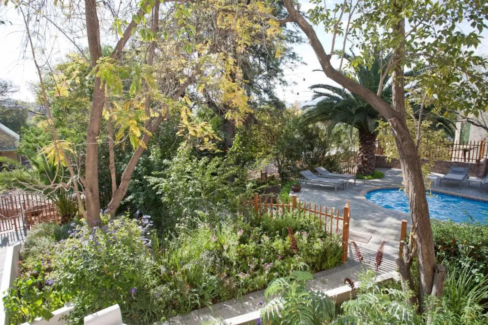 The Queen of Calitzdorp