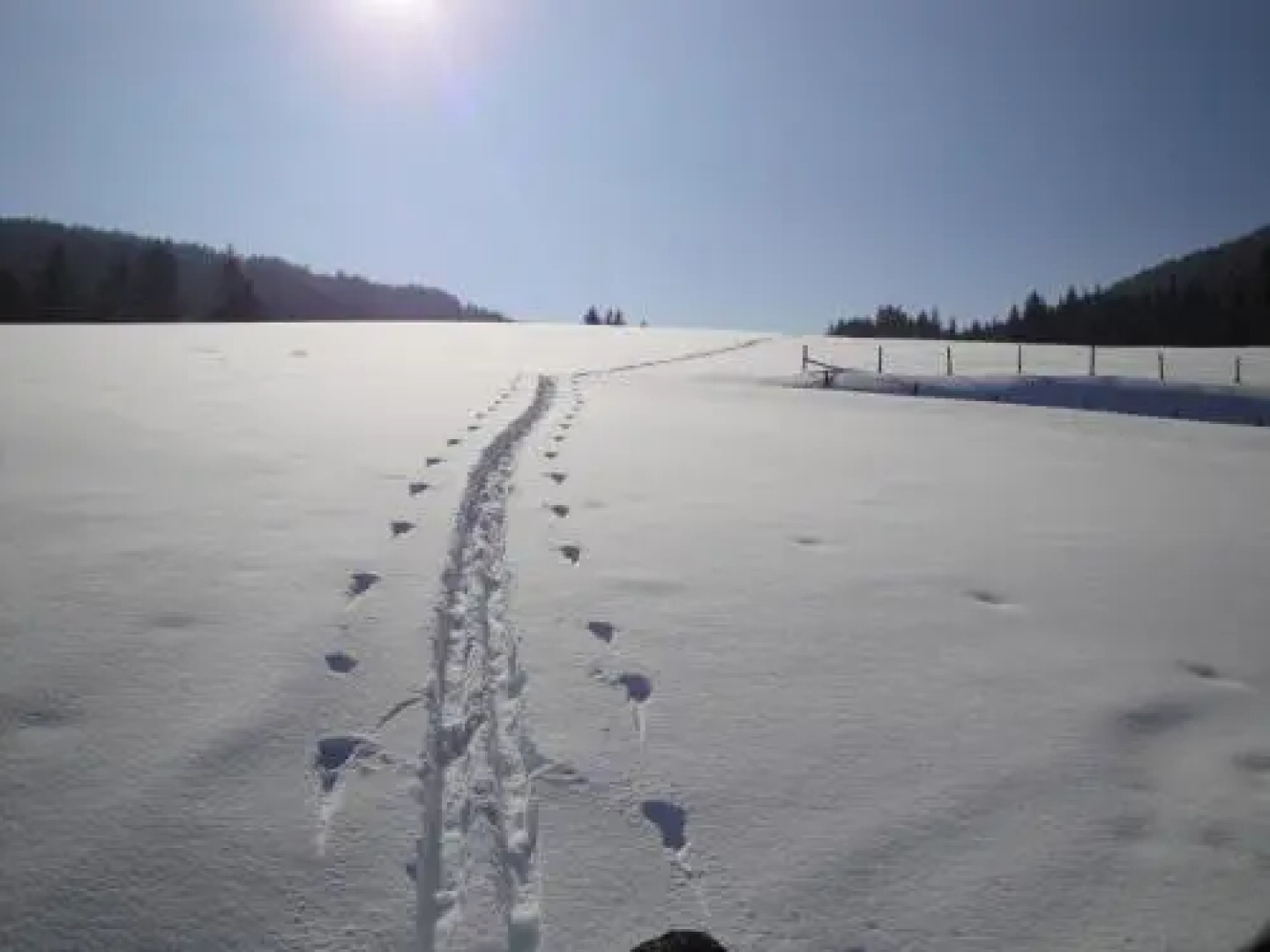 Hotel Pension Schwaiger