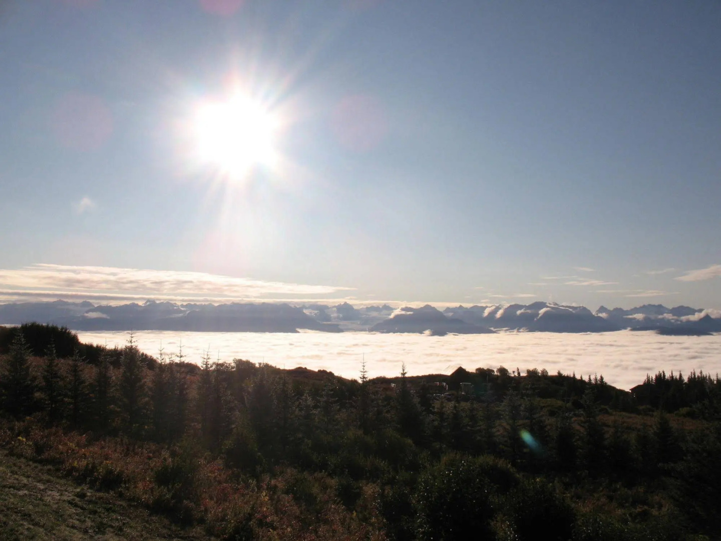 Homer Sportsman's Retreat