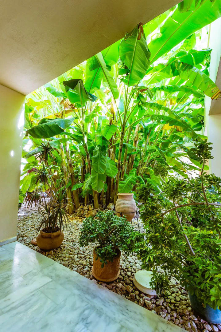 Anais Collection Hotels & Suites