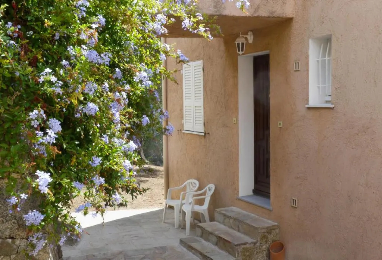 petit paradis pres ile rousse gîte les cortalines Lama