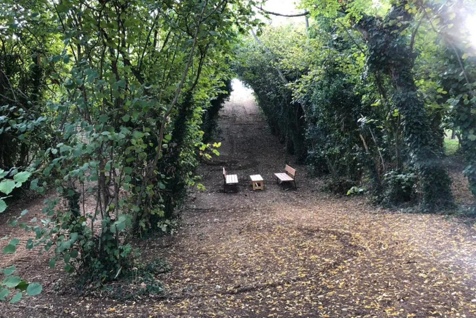 Glamping Poggio Imperiale Marche