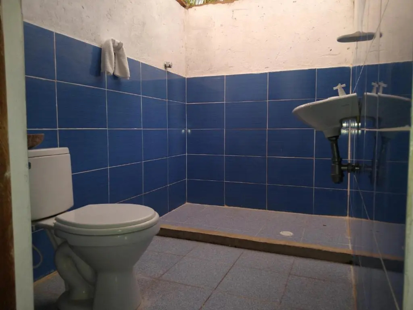 Eco Hotel Las Palmeras