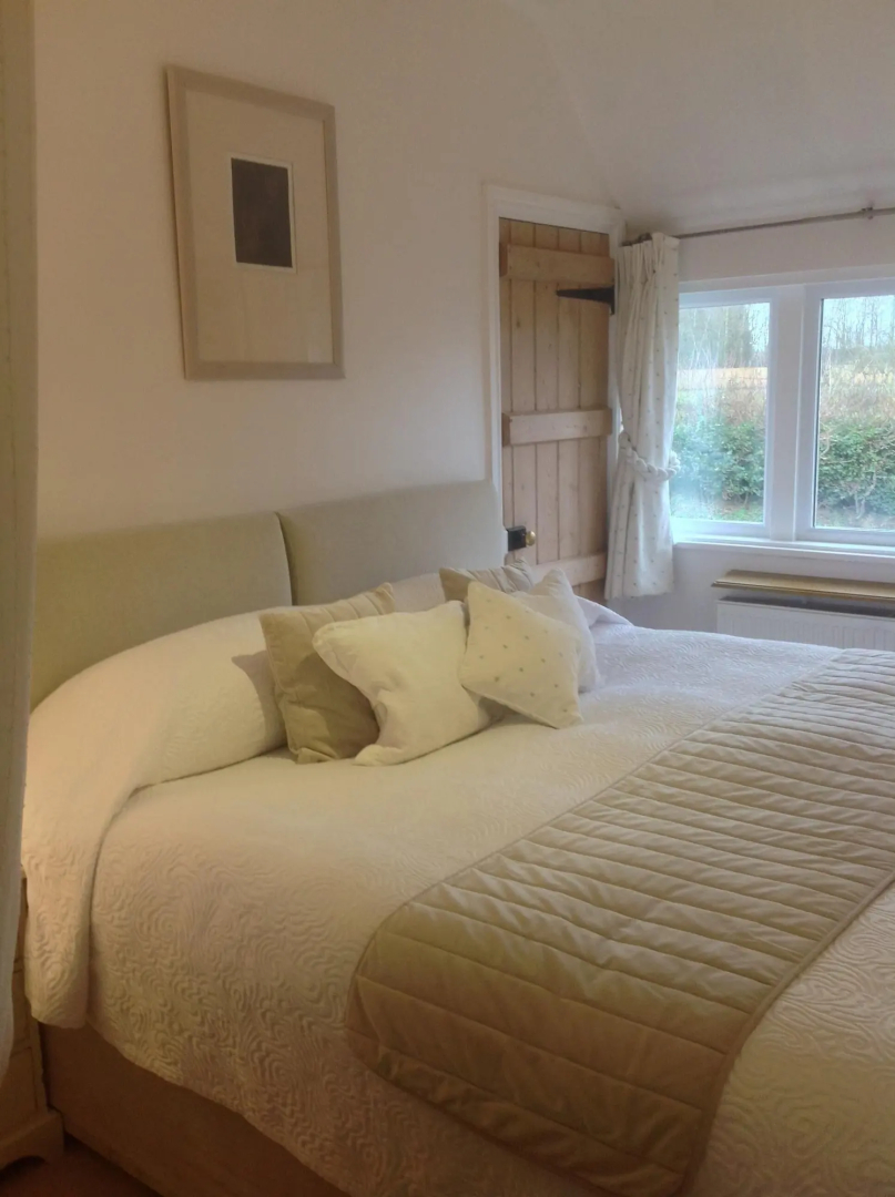 Shakespeare's View
