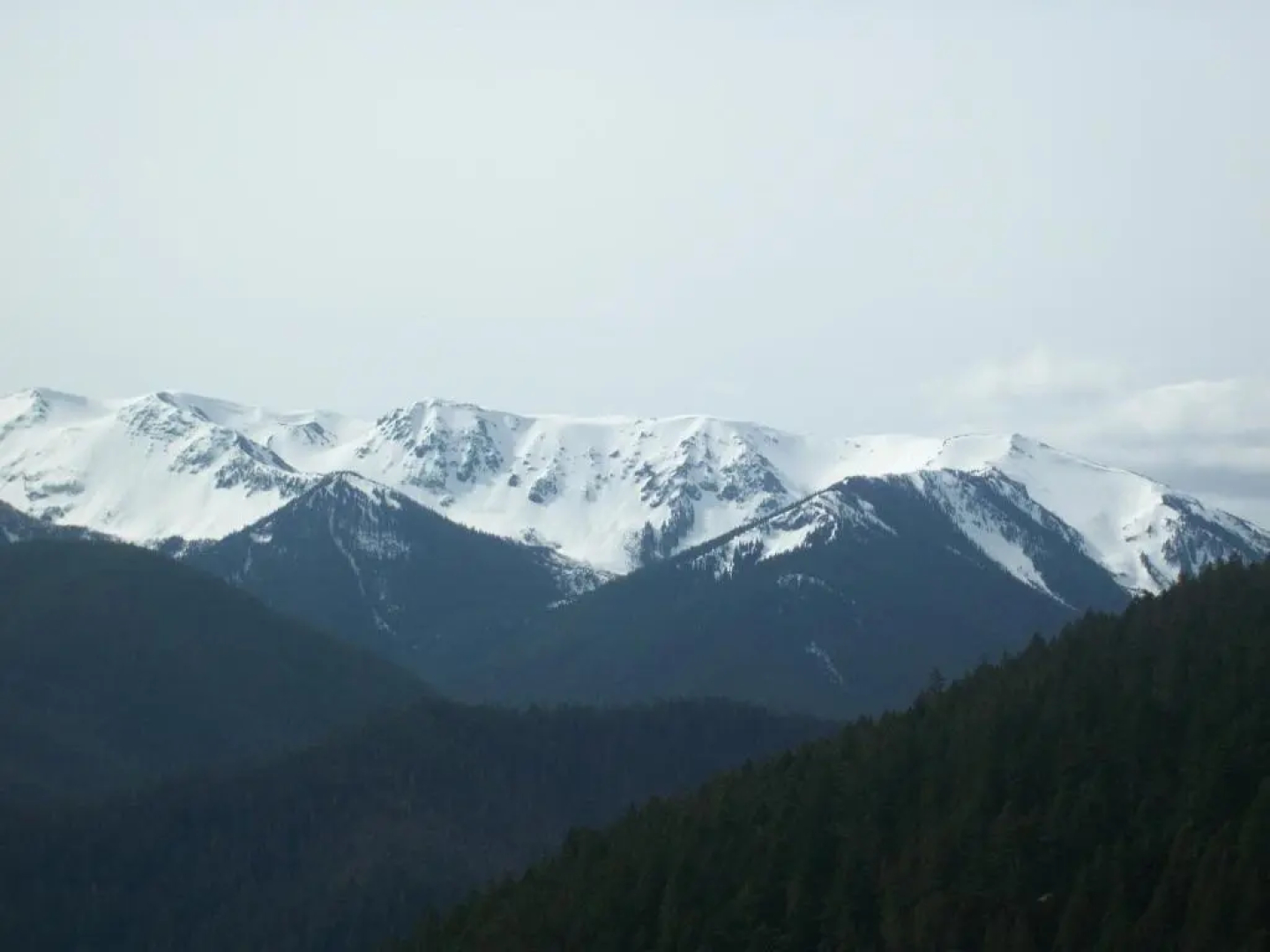 Holiday Inn Express Hotel & Suites NORTH SEQUIM by IHG