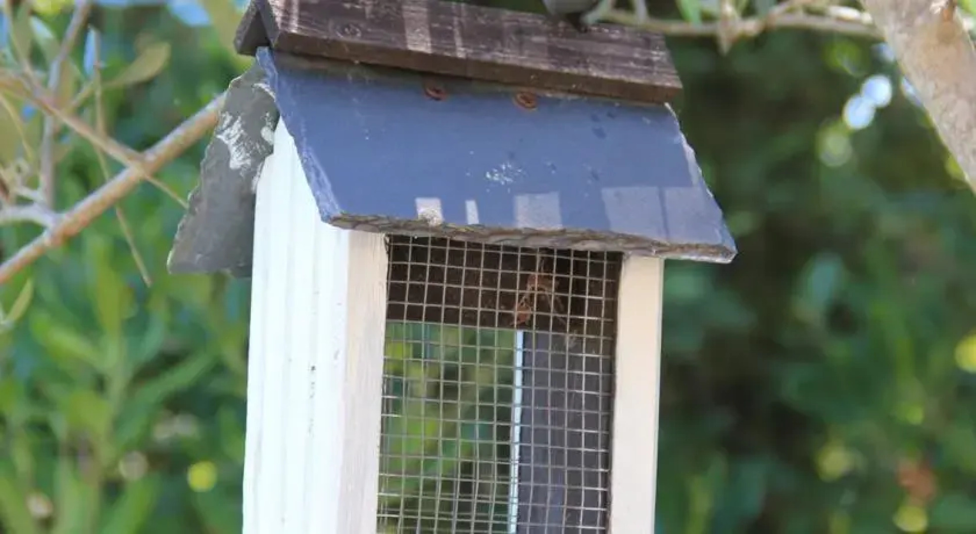 B&B La Maison Tuduka