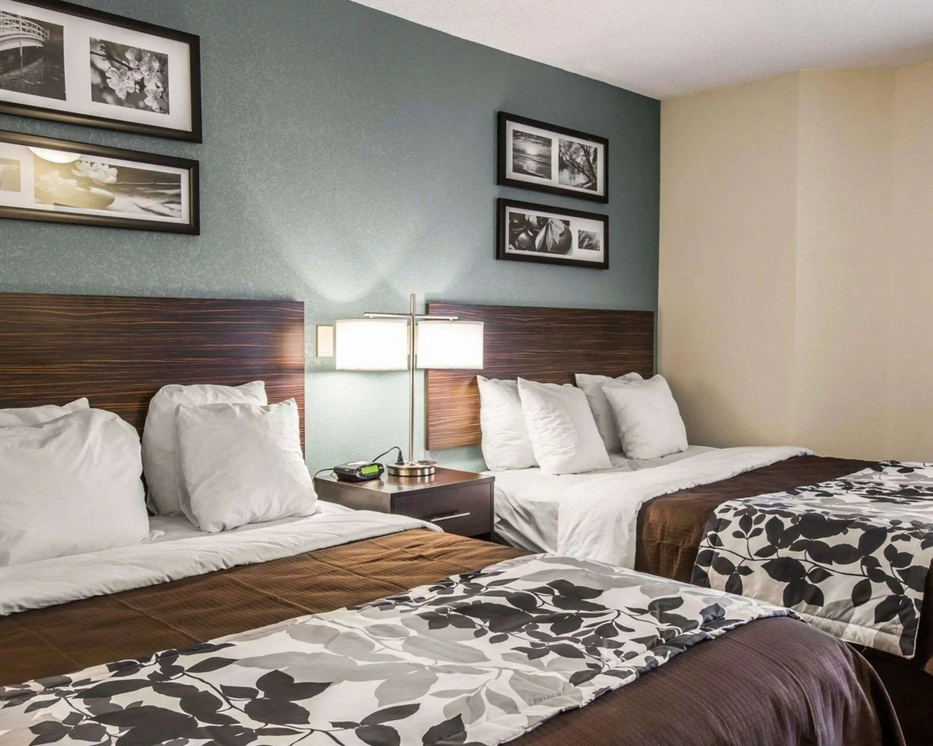 Sleep Inn Greensboro Airport