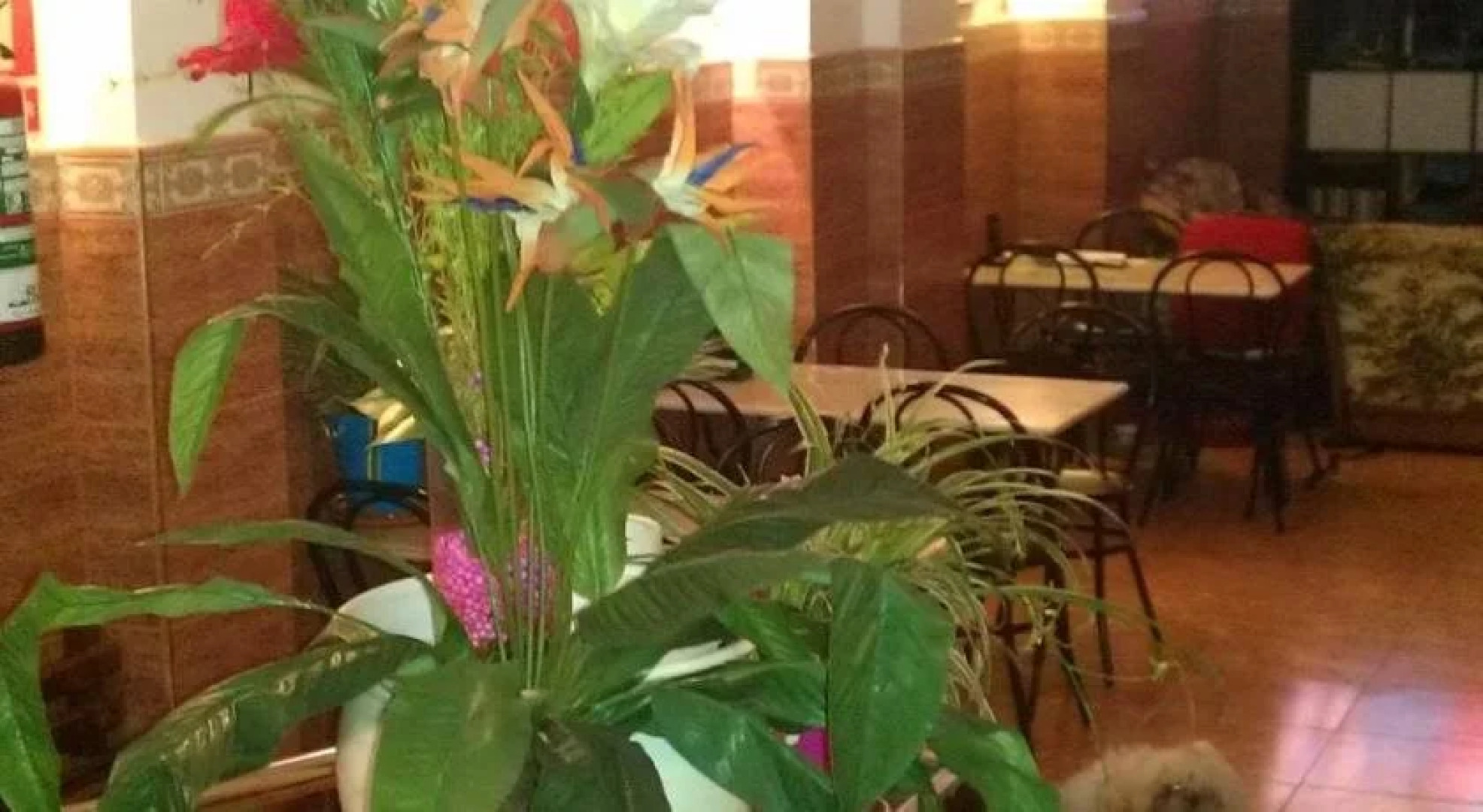 Hostal Blanes La Barca