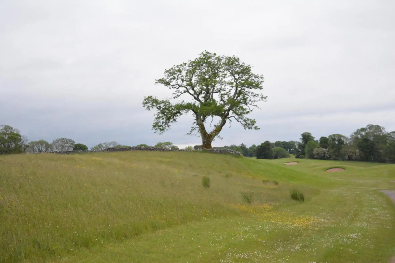 The Courtyard, Castle Dargan