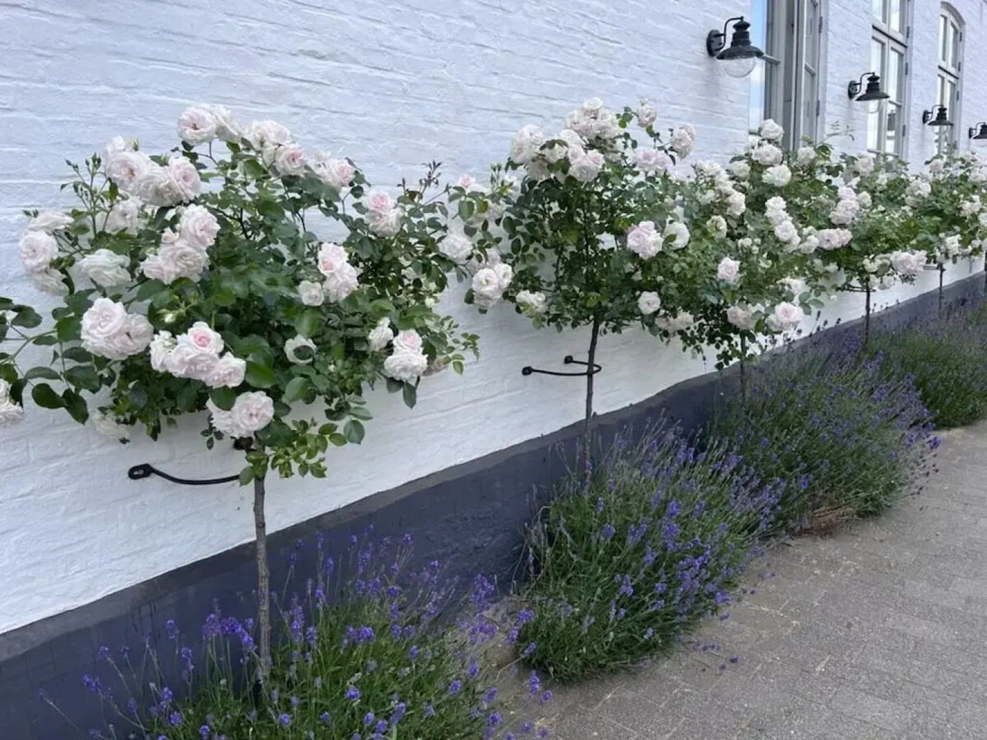 Schwanen Herz Comfortable Holiday Residence