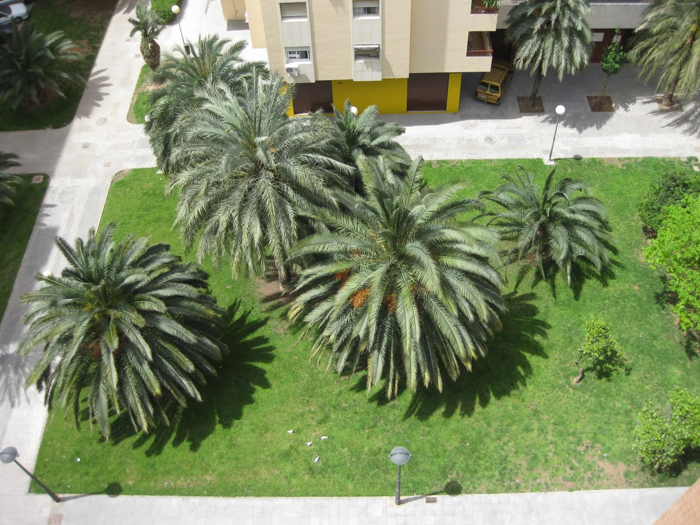 Apartamentos Plaza Picasso