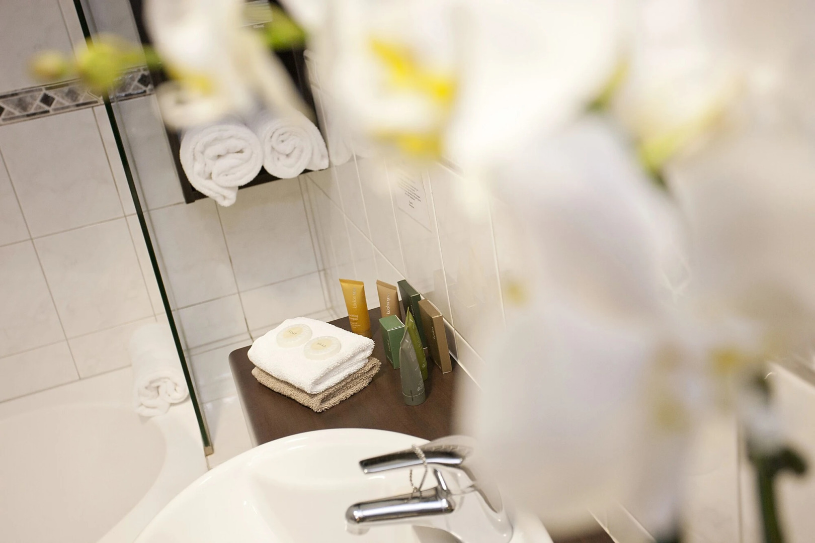 Distinction Coachman Hotel, Palmerston North