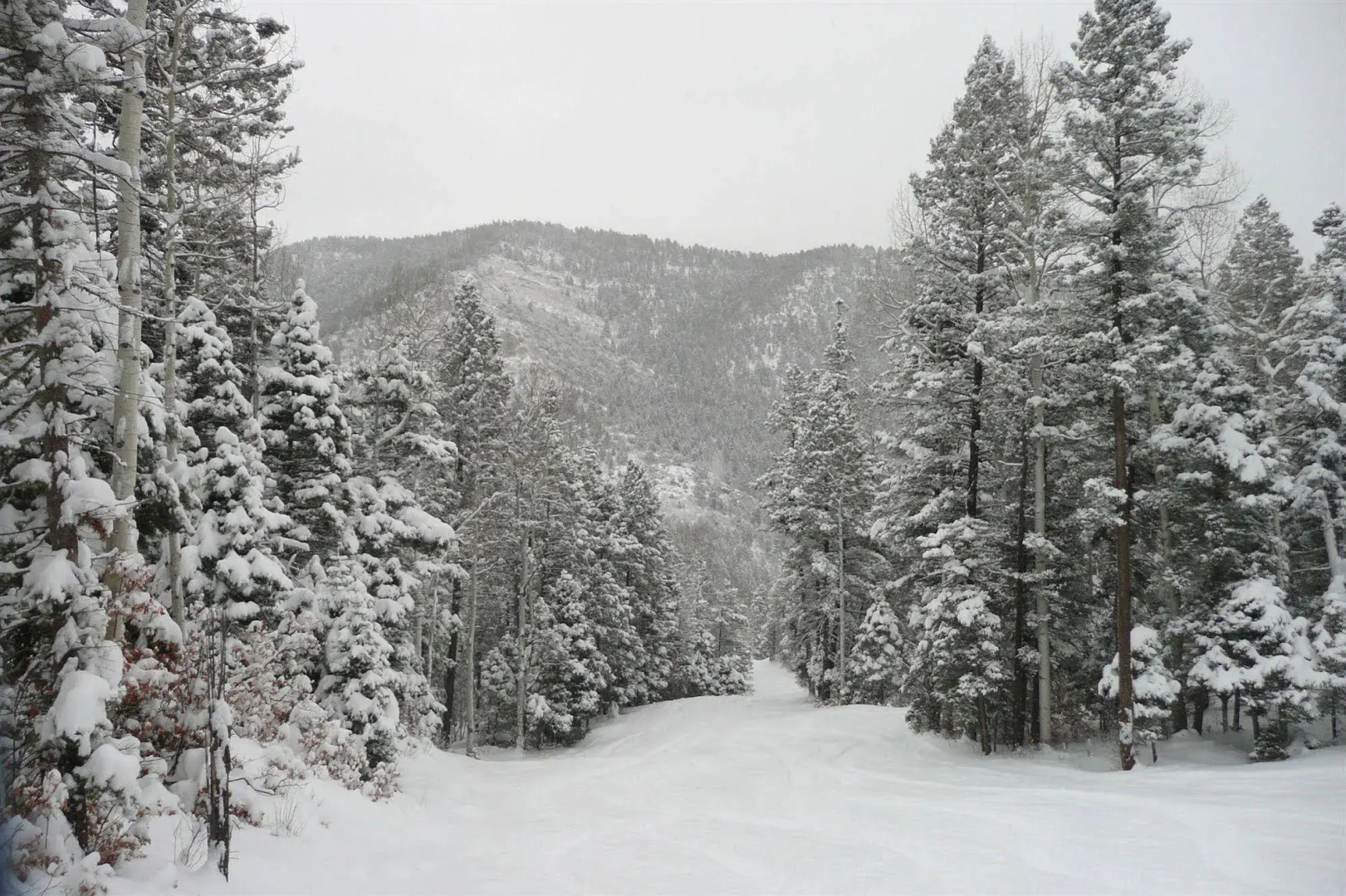 Sipapu Ski and Summer Resort