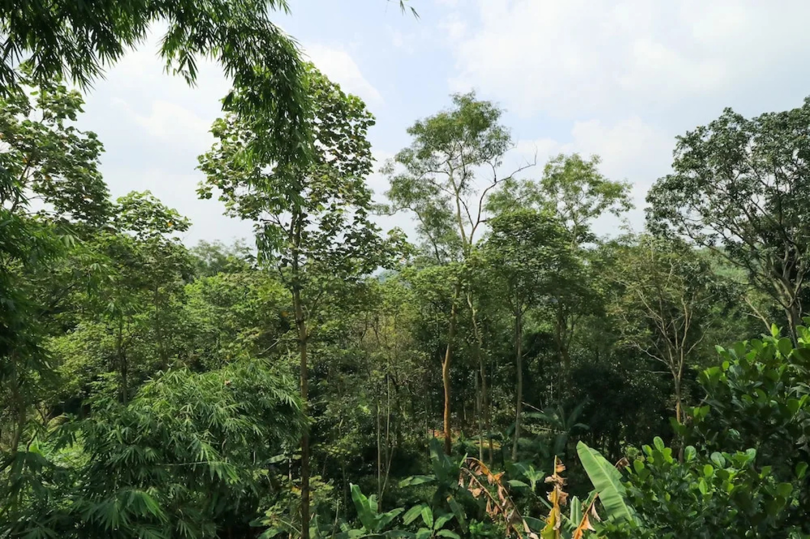 Penginapan Villa Surya Alam